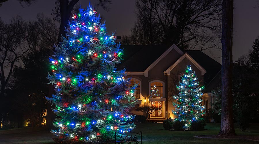 Christmas Lights in Kansas City