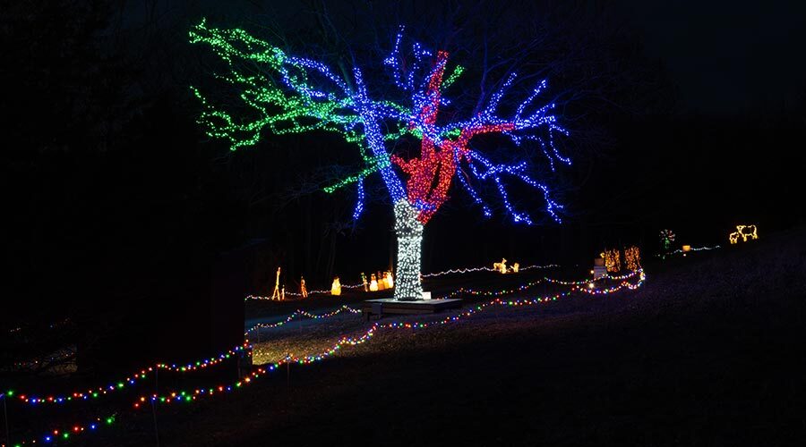 corporate-christmas18