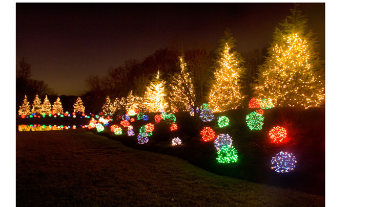 Christmas Light Company in Overland Park