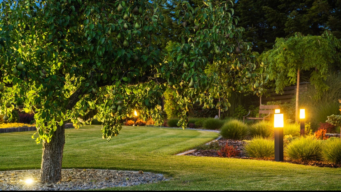 Ozarks corporate landscape lighting
